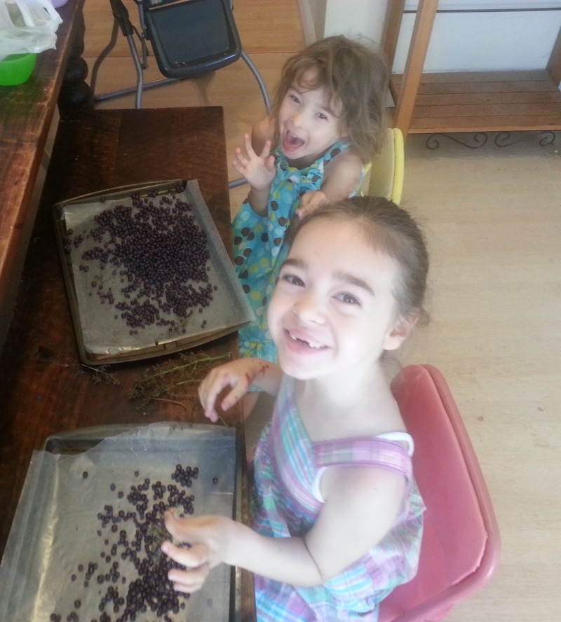 How To Make Raisins Free Science Activity Printable For Kids PK1Kids