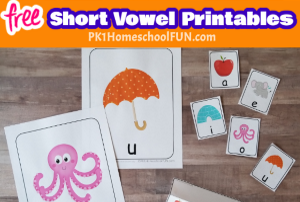 Your child’s reading adventure begins with learning the short vowel sounds. Here are 10 tips for teaching the short vowels to your beginning reader that will help you keep the excitement in reading.