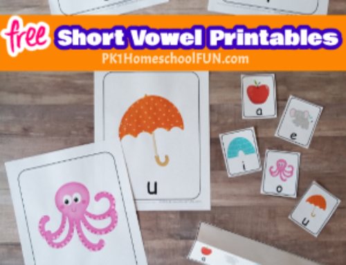 Top 10 Tips For Teaching The Short Vowel Sounds To Beginning Readers