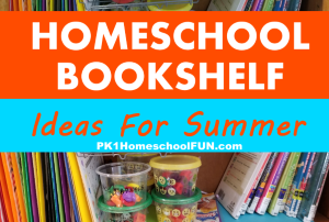 Here are some homeschool bookshelf ideas for summer to prepare yourself for the inevitable "I'm bored!" summertime whines. Create an amazing bookshelf full of fun for those relaxing summer days with these great ideas for your summer  bookshelf.
