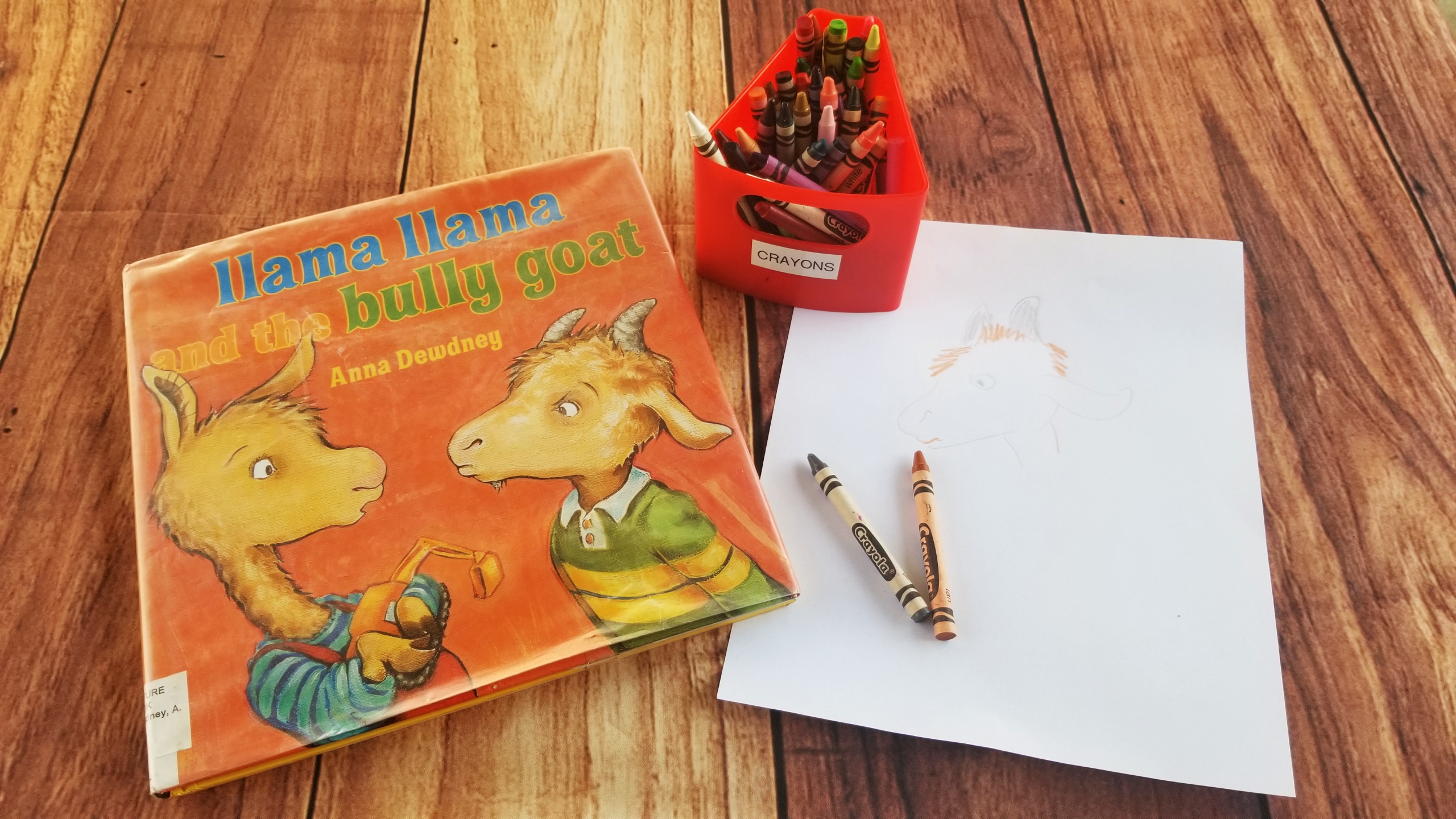 book report ideas for preschool