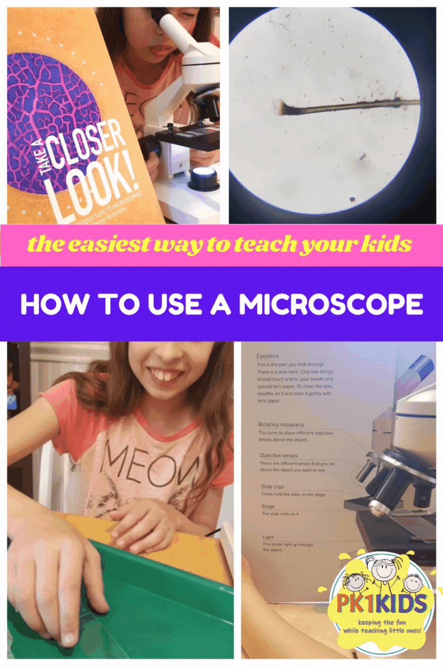 Microscope Lesson for Homeschool