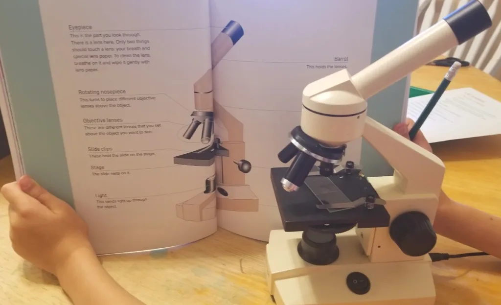 microscope science lessons for homeschool