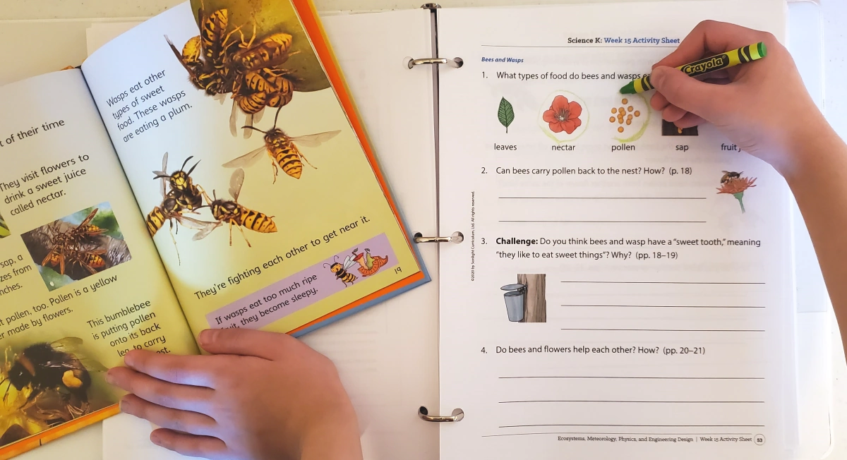 book and worksheet kindergarten science curriculum