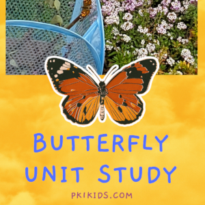 Easy Butterfly Unit Study
