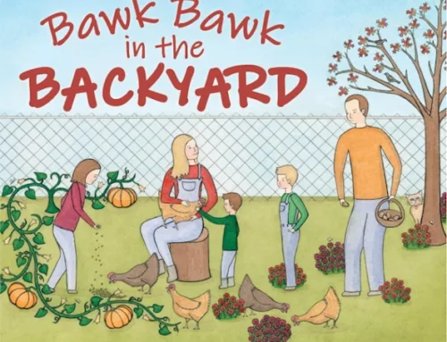 New Children’s Book About Hatching Chicks – Bawk Bawk in the Backyard
